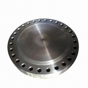 制造法兰钢焊接锻造 FF 钢轴承橡胶联轴器法兰 Sans 1123 En1092-1 法兰